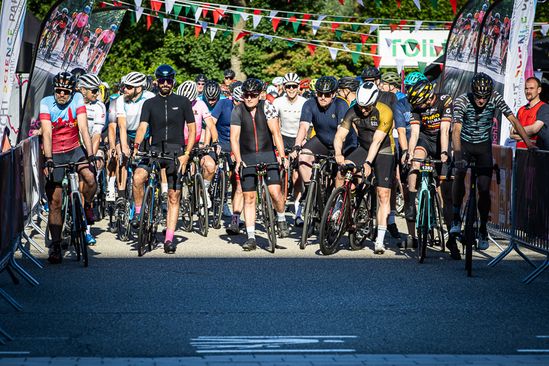 phppe3luq1cl91550TYcFT