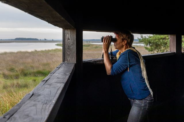 Een vrouw tuurt met een verrekijker door het kijkgat in de vogelkijkhut over de Davidsplassen.