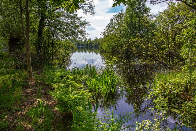 Natuurgebied Baggerputten