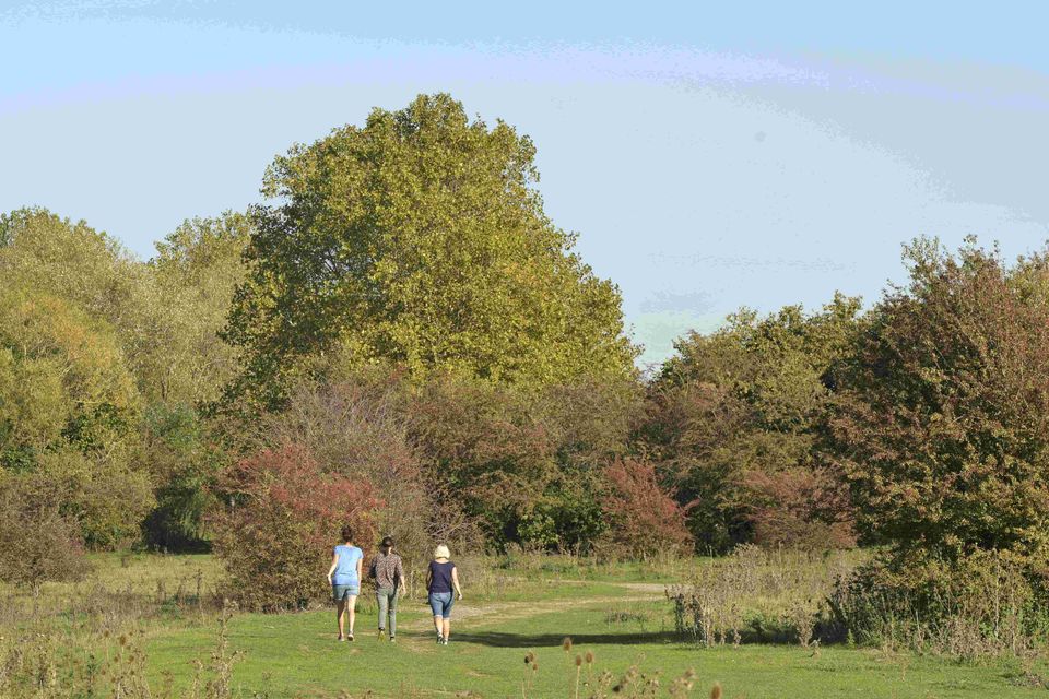 Eijsder Beemden natuurgebied wandelaars