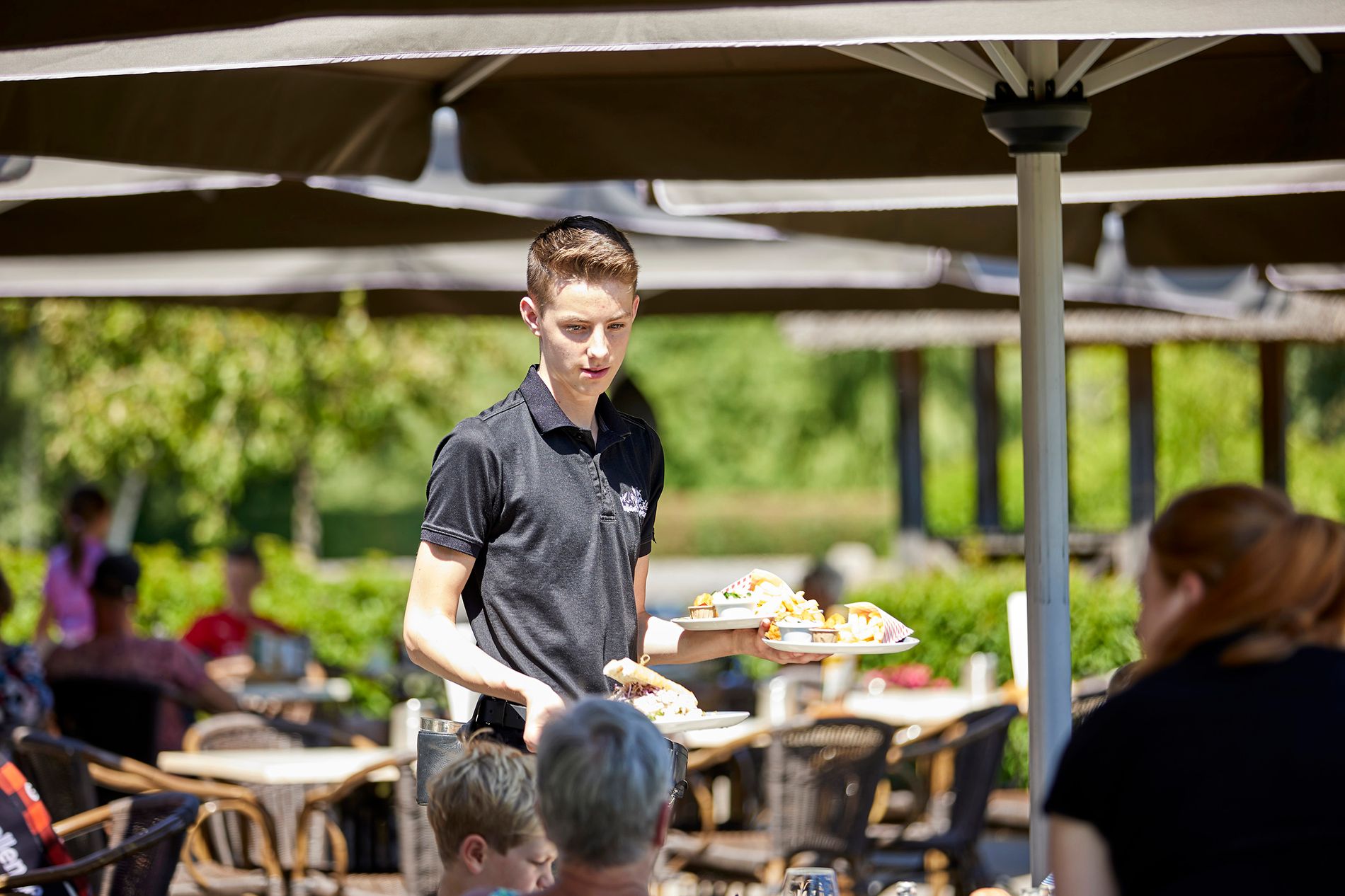 Terras Hollandershoeve