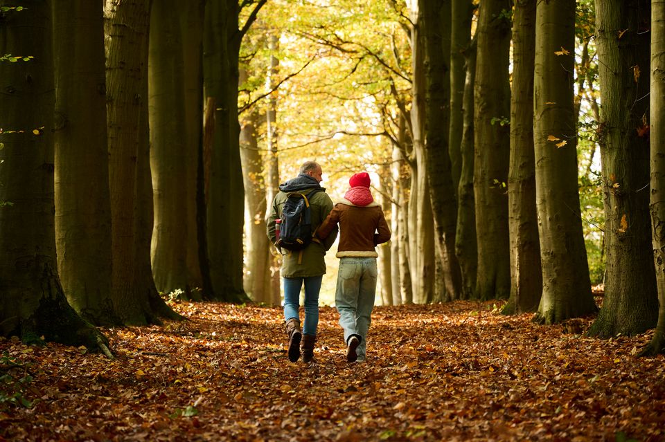 Wandelen in Gaasterland
