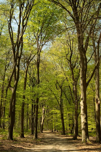 Große Naturfotoausstellung Kieknou Aarle-Rixtel