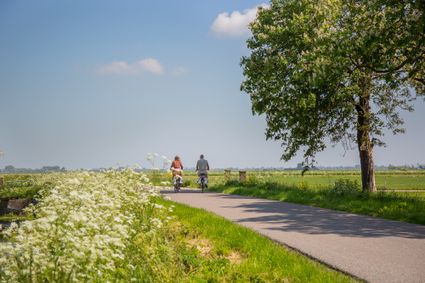 Fietsen in het voorjaar met bloesem langs de kant van de weg
