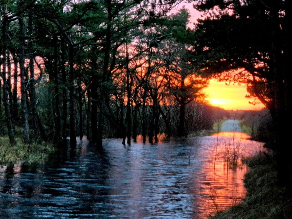 Wateroverlast Vlieland - Diana Rolf