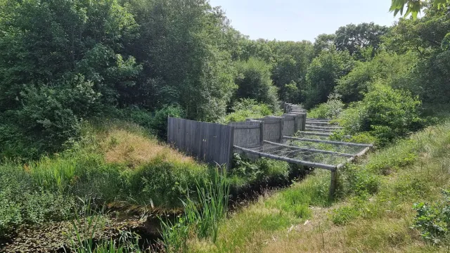 Nieuwe Kooi