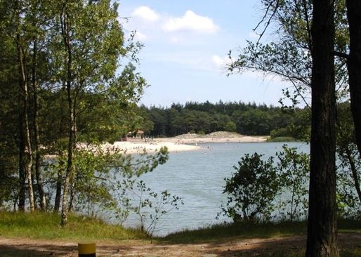 Zandenplas nieuwjaarsduik