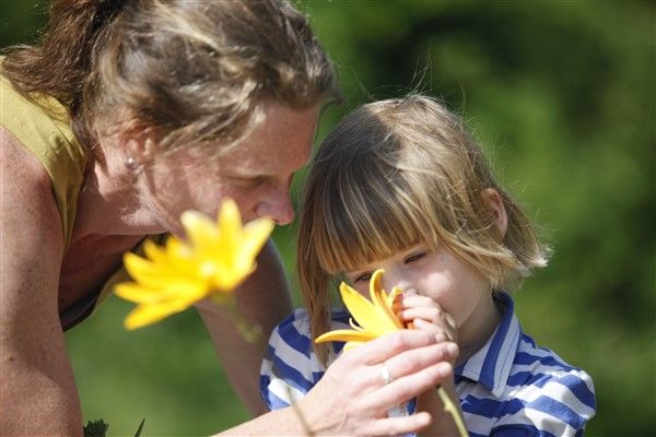 De camping heeft een kruidentuin. Hier staan heerlijke kruiden om bv. een theetje van te maken