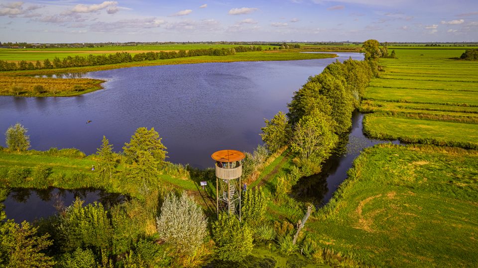Uitkijktoren natuurgebied Willeskop, Montfoort, IJsselstein, Utrechtse Waarden, panoramisch uitzicht over plassen, sloten, groene weilanden en waterrijk polderlandschap in de zomer.