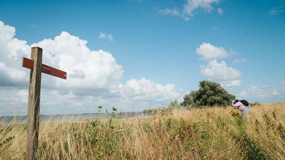 Wandelen naar de vogelkijkhut