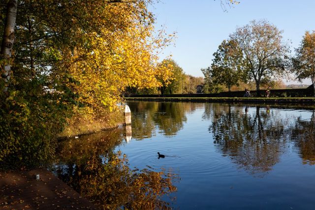 Water van de Vliet met bomen in herfstkleuren.