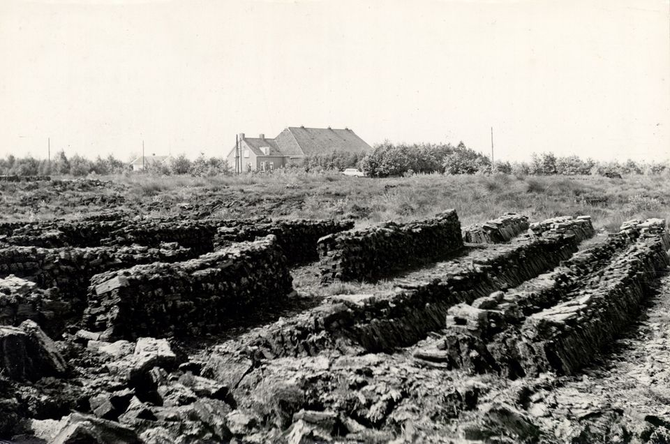 Veenplaggen in het Fochteloërveen