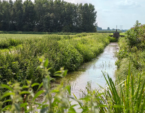 Wandelroute door Raamsdonkse polders