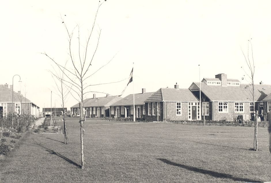 Grasveld met huizen in Lelystad Haven.