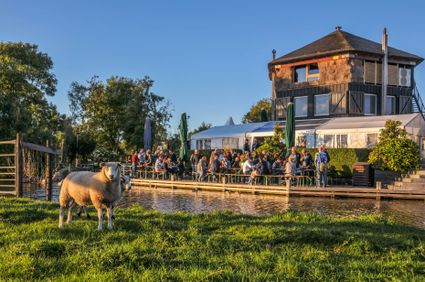Boerderij De Boerinn in Kamerik met terras aan het water en schaap in de wei, landelijke beleving in het Groene Hart.