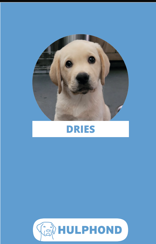 Hulphond Dries van Hulphond Nederland