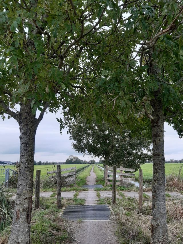 Wandelpad van de Cabauwse Jacobsroute