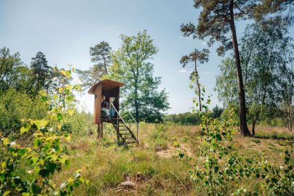 Twee vrouwen wandelen door een open natuurgebied naar een zinzitter.