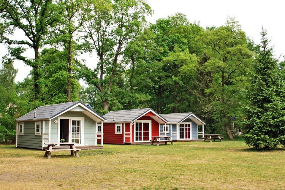 Drei Ferienhäuser auf einer Wiese unter den Bäumen