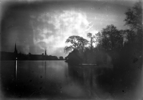 Zwart-wit foto van bomen