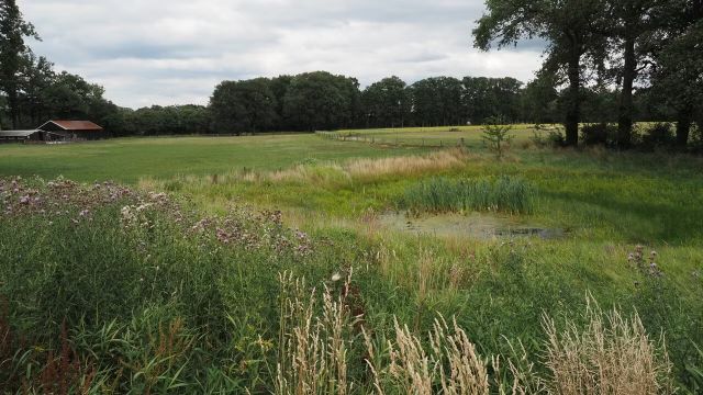 Geldersch Landschap en Kasteelen