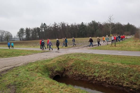 Wandelen
