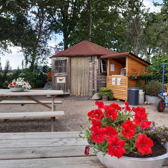 Melktap en erf vakantieboerderij Nunspeet