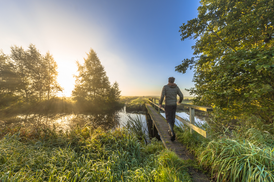 Ein Mann geht über eine Brücke im Nationalpark Drentsche Aa in Drenthe.