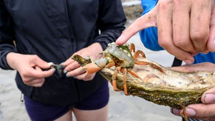 WadZicht excursie Texel
