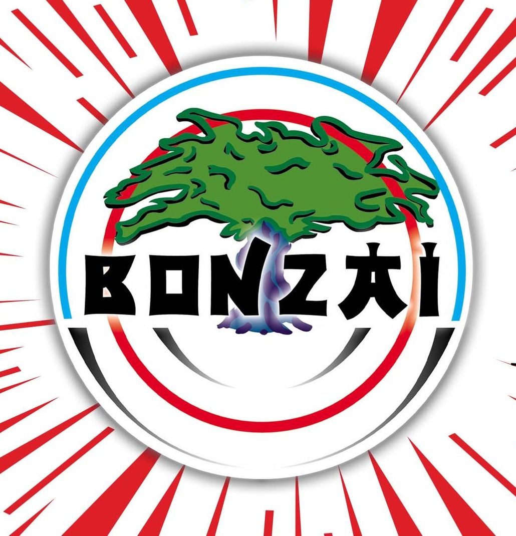 Op zaterdag 24 januari 2026 vindt er een nieuwe Bonzai editie plaats in Vibes Eindhoven 🎉