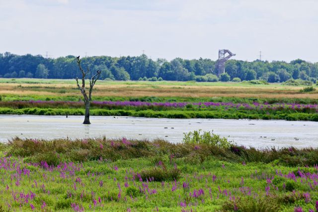 De Onlanden met uitkijktoren.