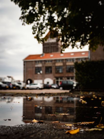 Foto van de chocoladefabriek van Verkade in herfstsfeer