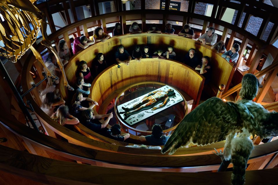 Anatomisch Theater met publiek - Rijksmuseum Boerhaave