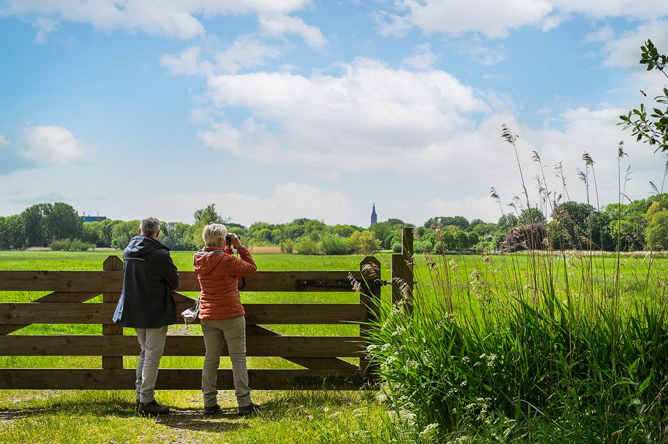Stel kijkt over weilanden