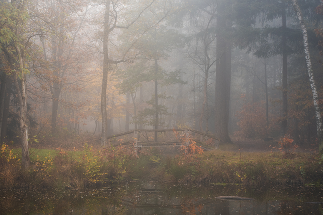 Ein Brückchen im Nebel