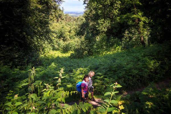 N70 Wandelroute, Wandelen, Rijk van Nijmegen, Natuur