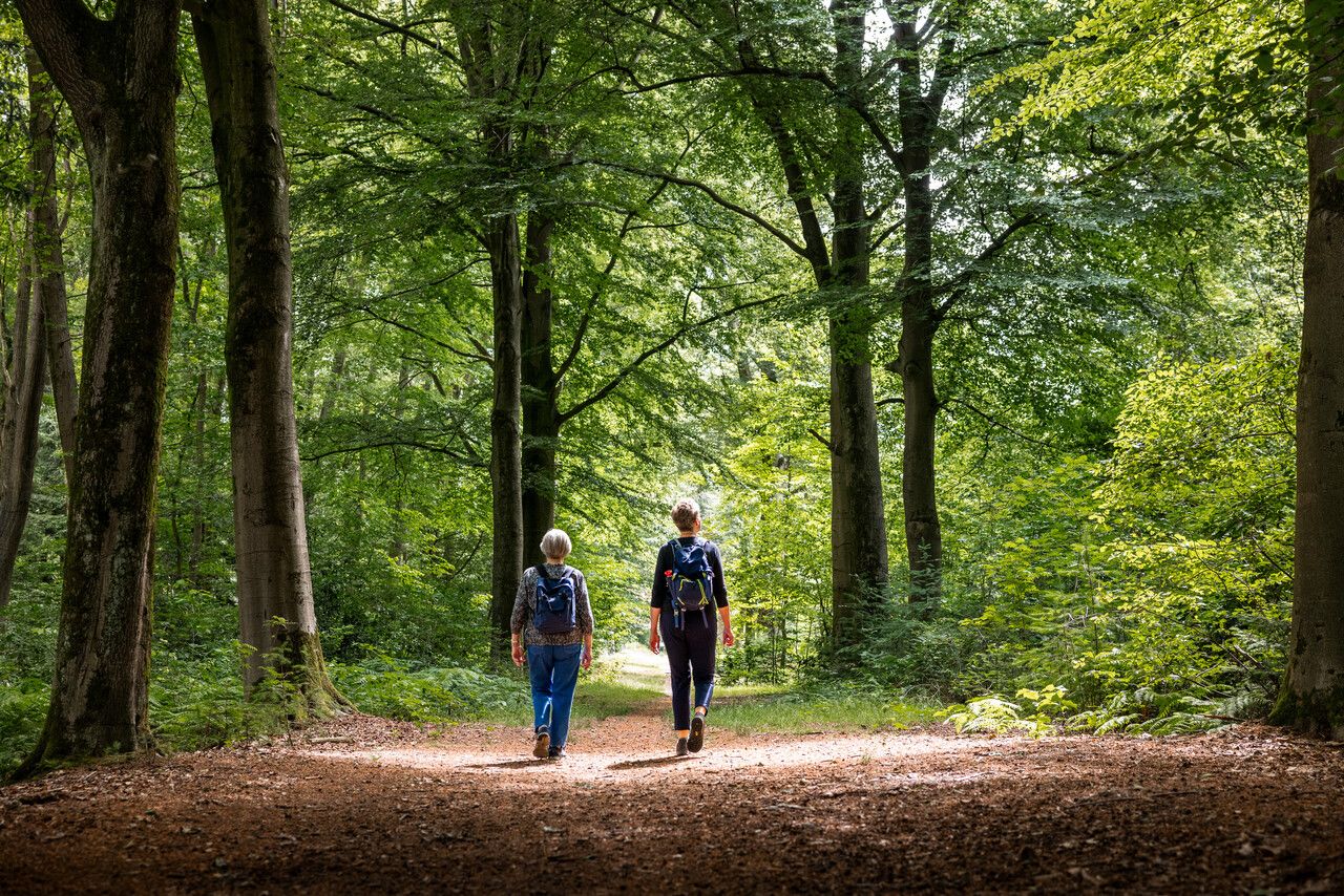 Twee wandelaars in een bos in Goirle.