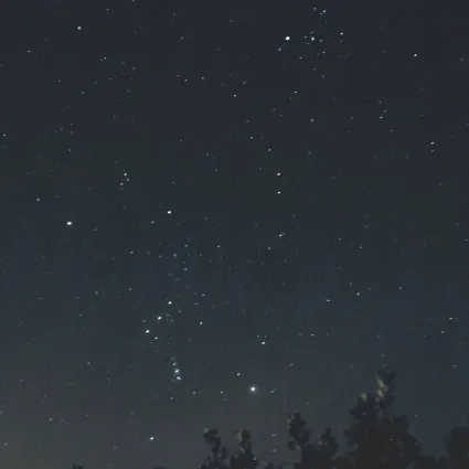 Orion