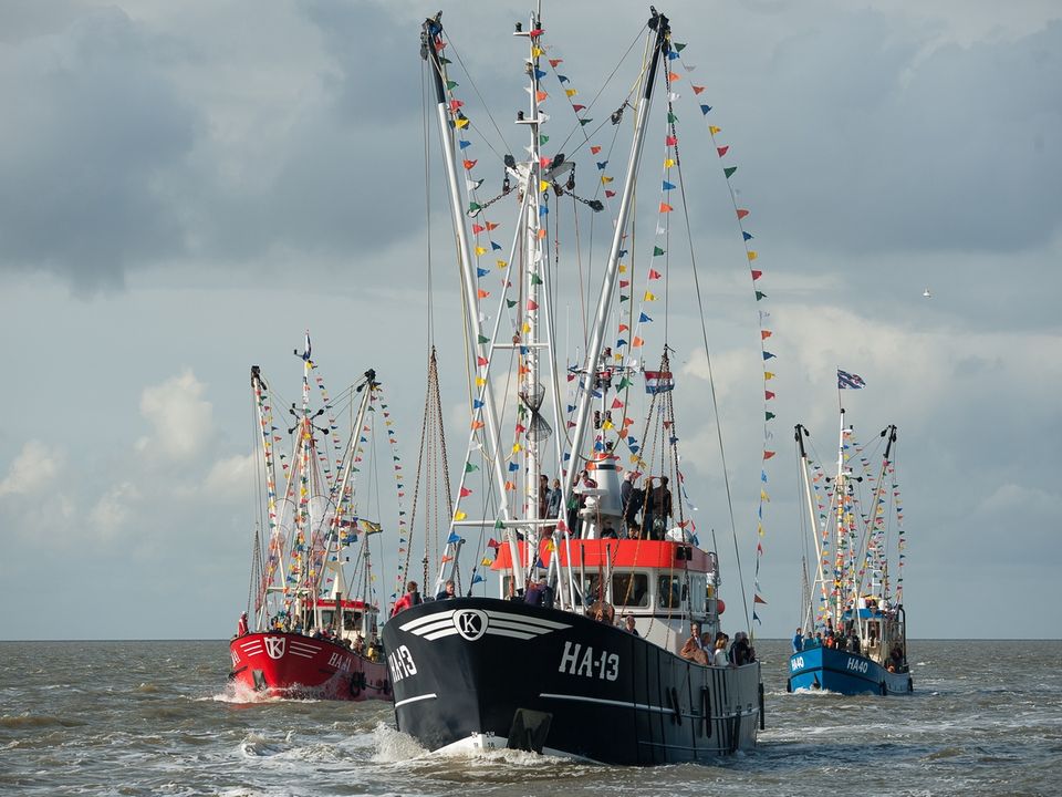 Vlootschouw op de Waddenzee.