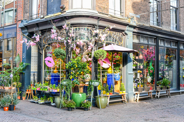 Pflanzen auf der Straße am Eingang zum De Bloementuin in Meppel.
