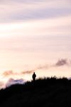 Duinen in Nederland