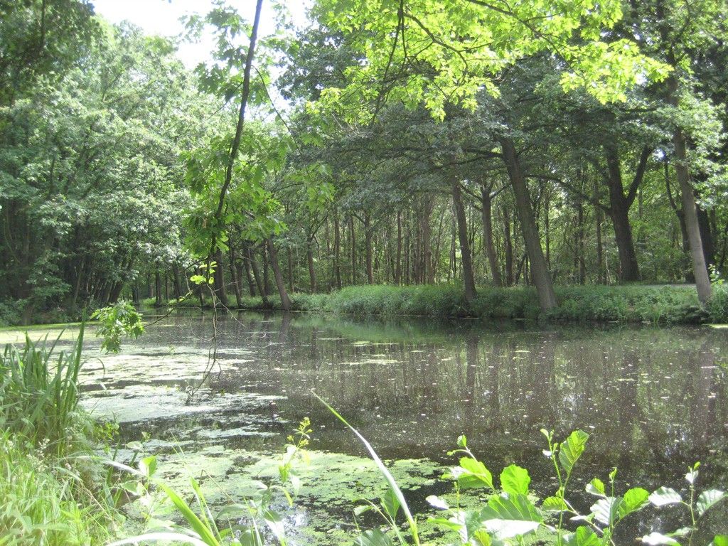 Rondleiding Griendtveen