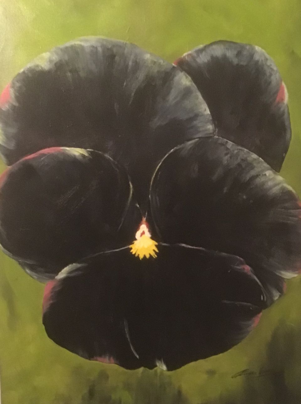 Kunst uit het Hart – Expositie van Marian Stads en Corry van Hooff