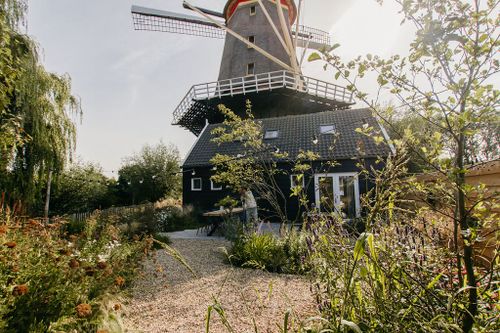 De achtertuin bij onze molen