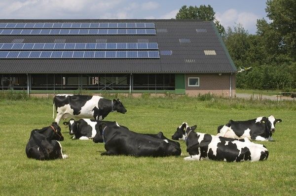 "Initiatief van Brabants Bodem in Van Gogh Nationaal Park, gericht op het ondersteunen van agrarische ondernemers bij het verduurzamen van hun bedrijfsvoering en het bevorderen van biodiversiteit, bodemkwaliteit en natuurbeheer in Noord-Brabant."