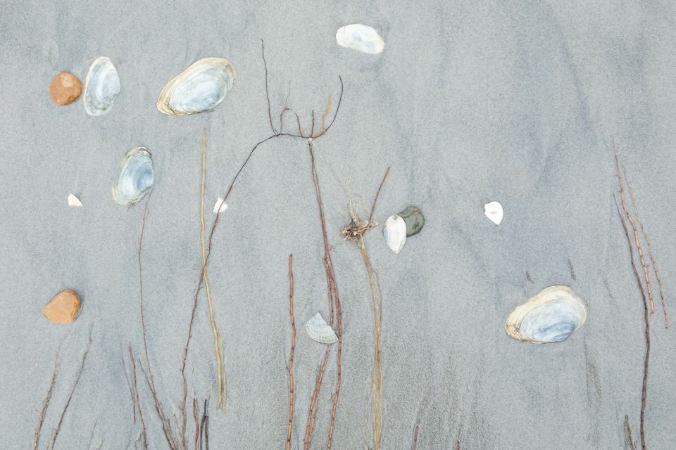 Stilleven strand