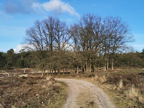 Wandeling Landgoed Noorderheide