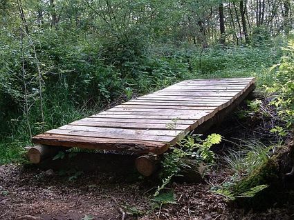 Knuppelbruggetje tijdens Pak de biezen wandelroute
