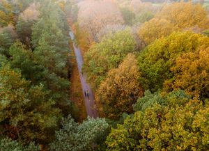 Foto van bovenaf vogel perspectief op een herfstig bos waarin mensen fietsen