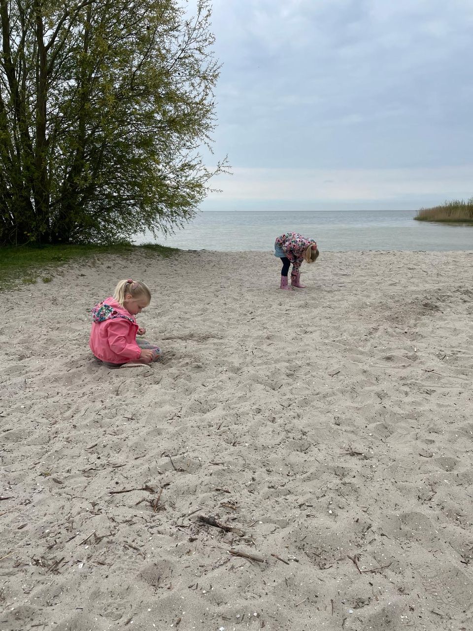 Spelende kinderen op strand